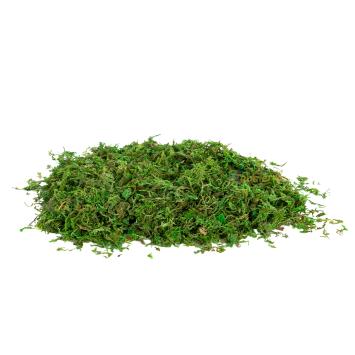 Decoratief mos voor terrarium