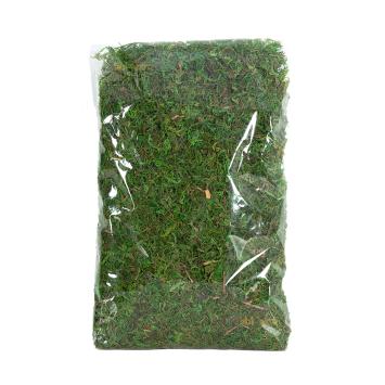 Terrarium mos voor hamsterscaping