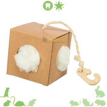 kapok nestdoos knaagdier