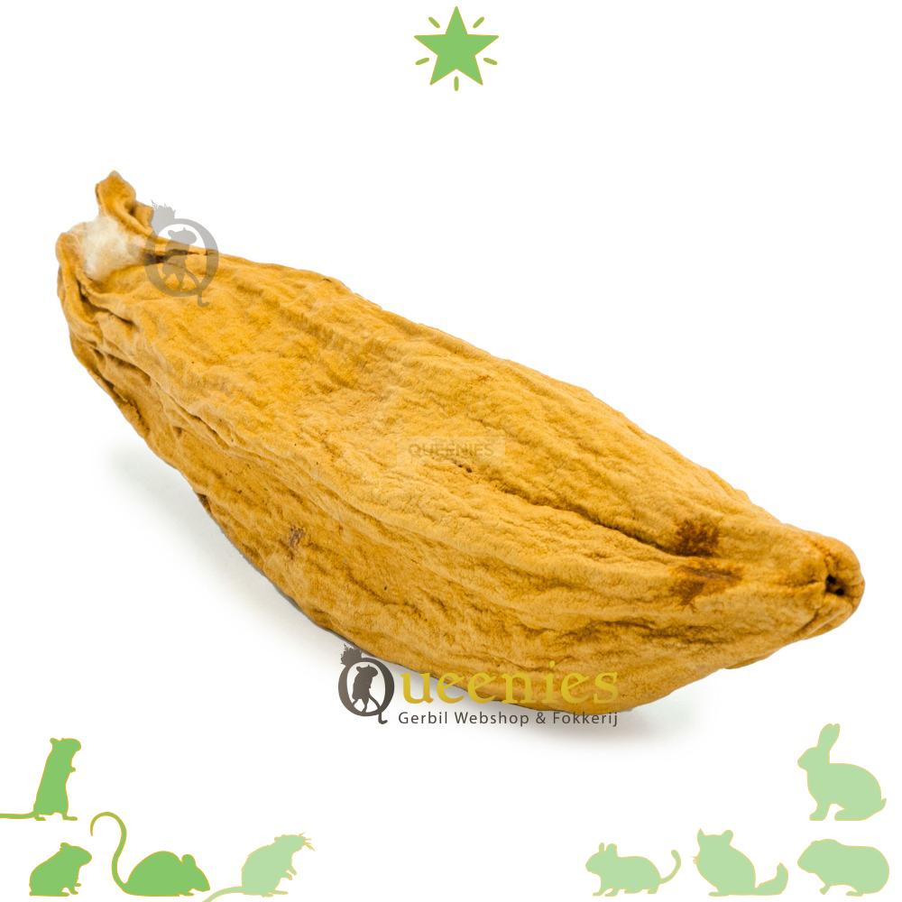 Kapoknoot knaagdier nestmateriaal