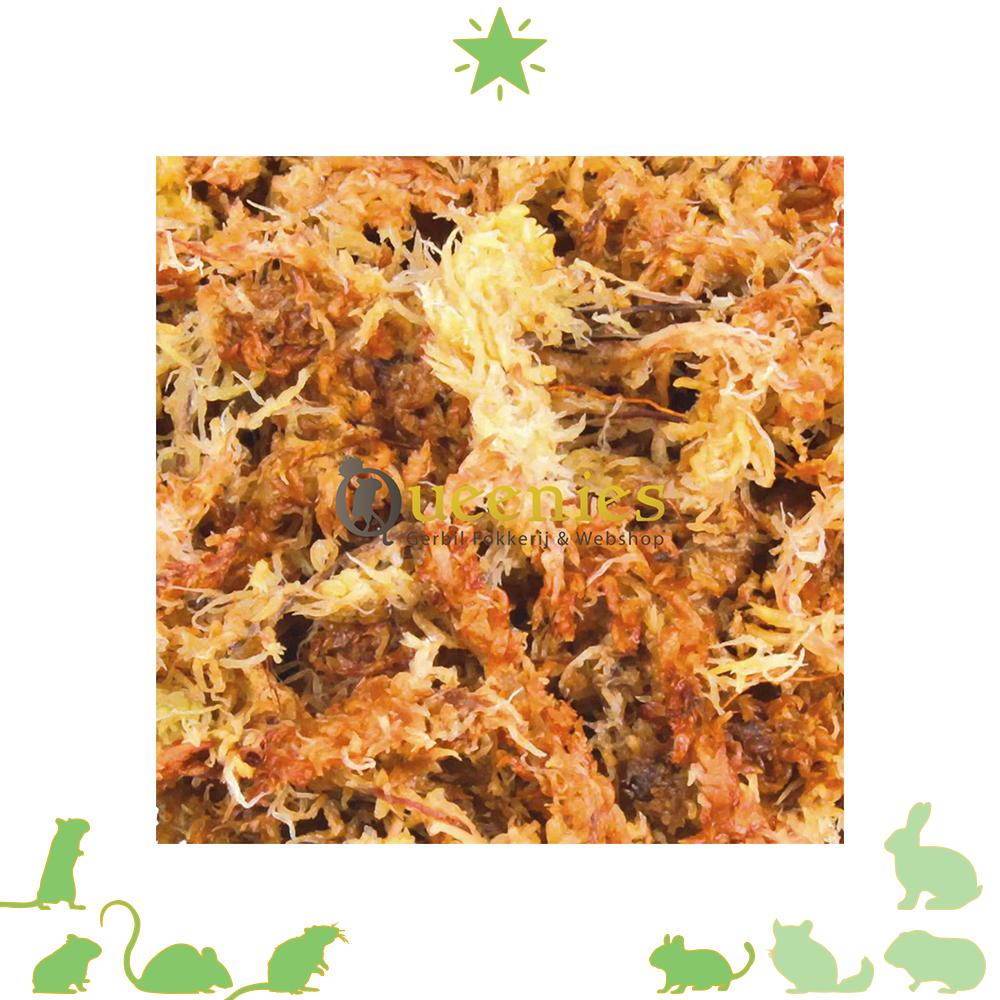 Gedroogde Veenmos, Terrariumsubstraat