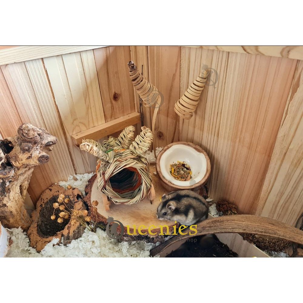 Happy Pet Nature First Vliegtuig voor Hamsters