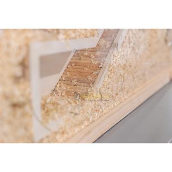 Watchbox 36 cm met open voorkant