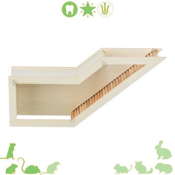 Houten Watchbox 36 cm voor knaagdieren