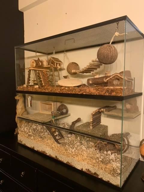 Opzetstuk Gerbilarium 100x40