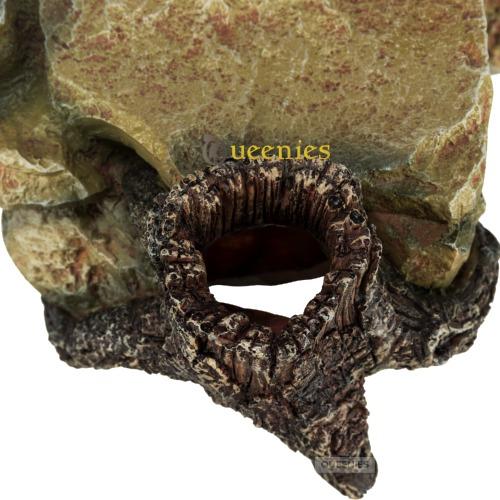 Natuurlijke inrichting knaagdieren terrarium