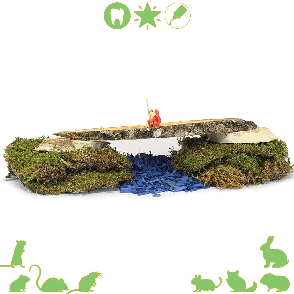 Hamsterscaping maken met Ovale berkenschijven