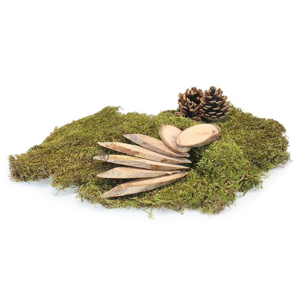 Hout schijf DIY met mos en dennenappel