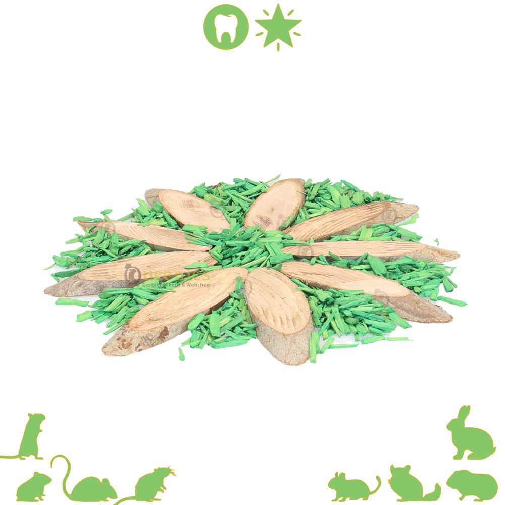 Ovale Houtschijven 5-9 cm - DIY knaagdier