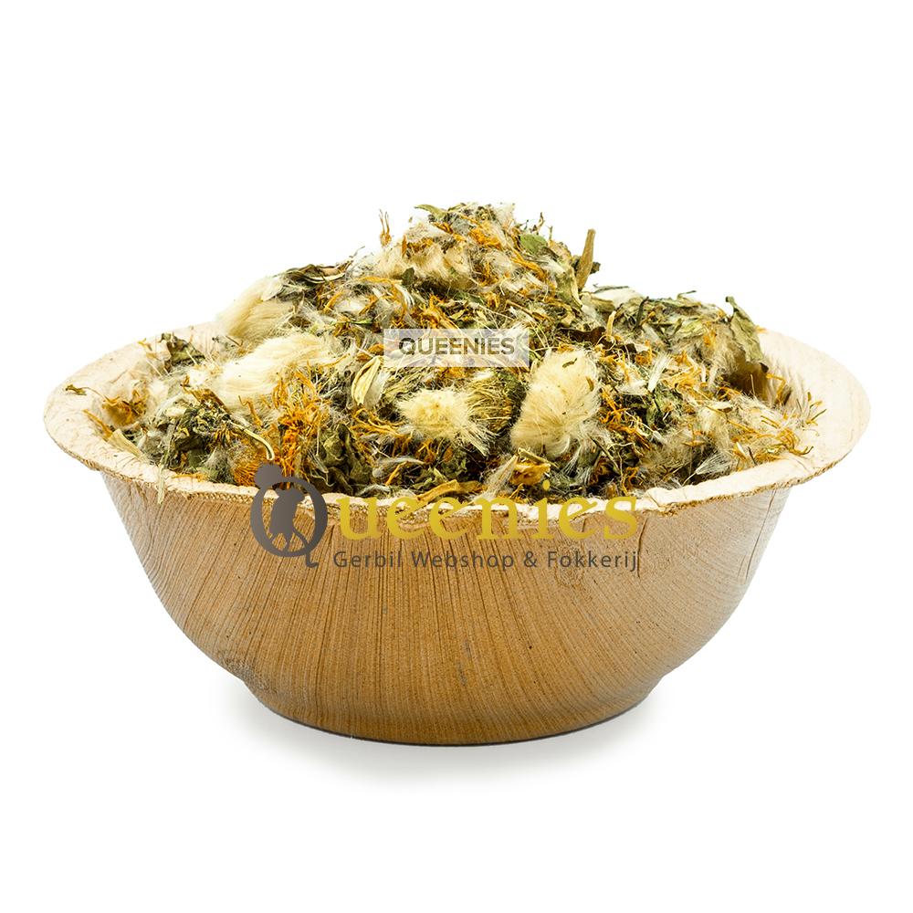 Paardenbloem bloemen voor Knaagdieren