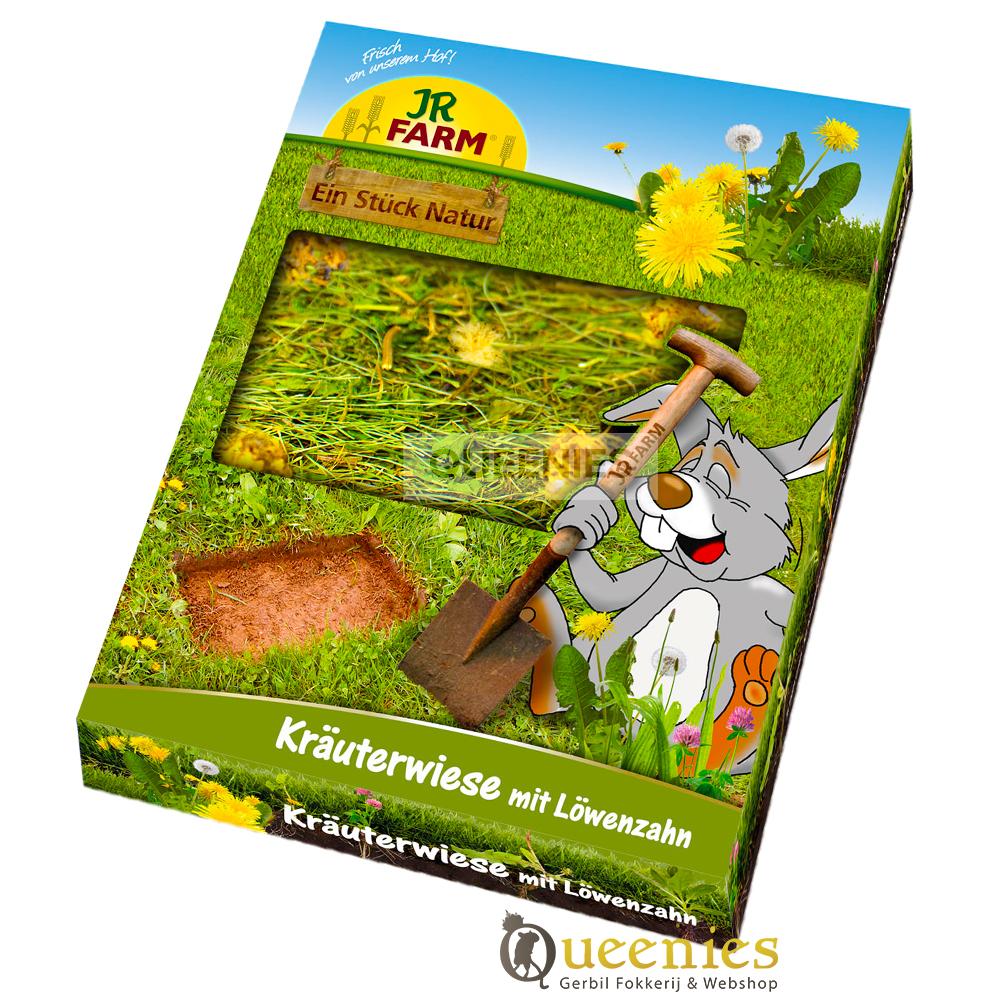 Wieland met Groente voor Gerbils