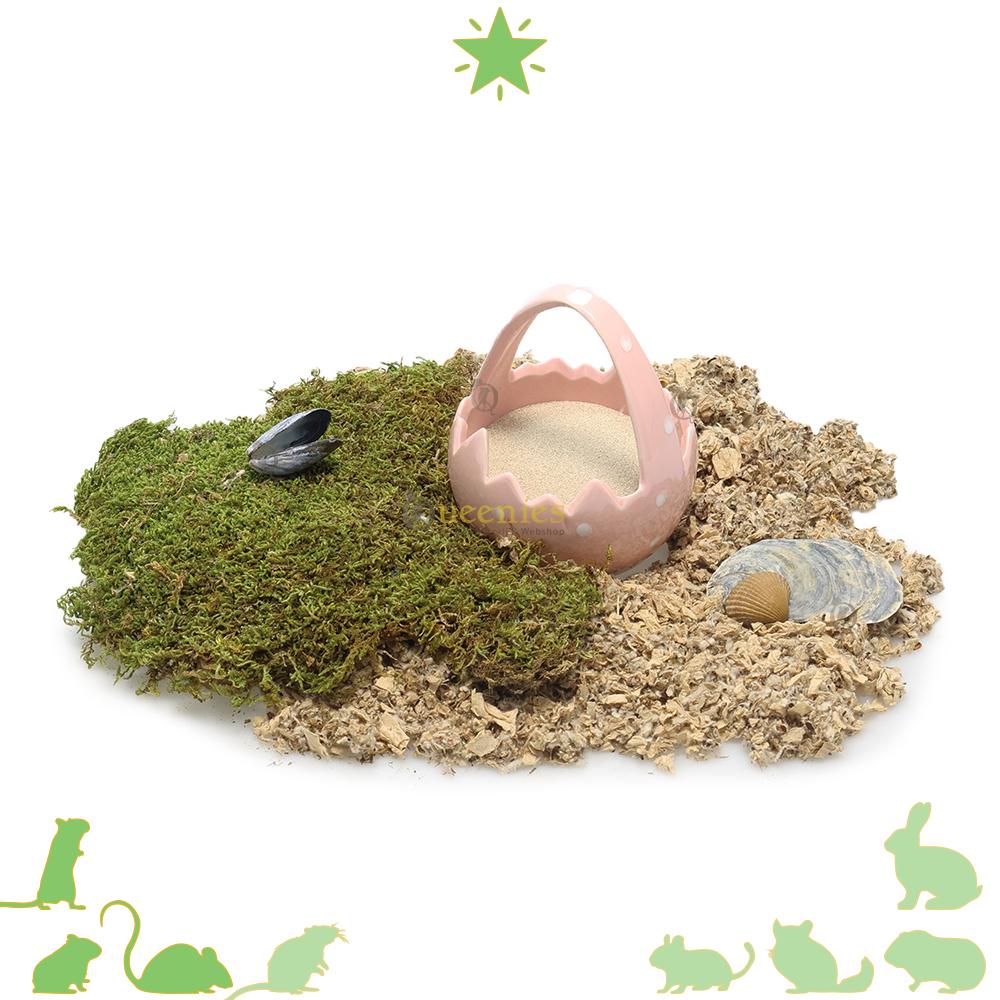 Pasen decoratie voor hamsterscaping
