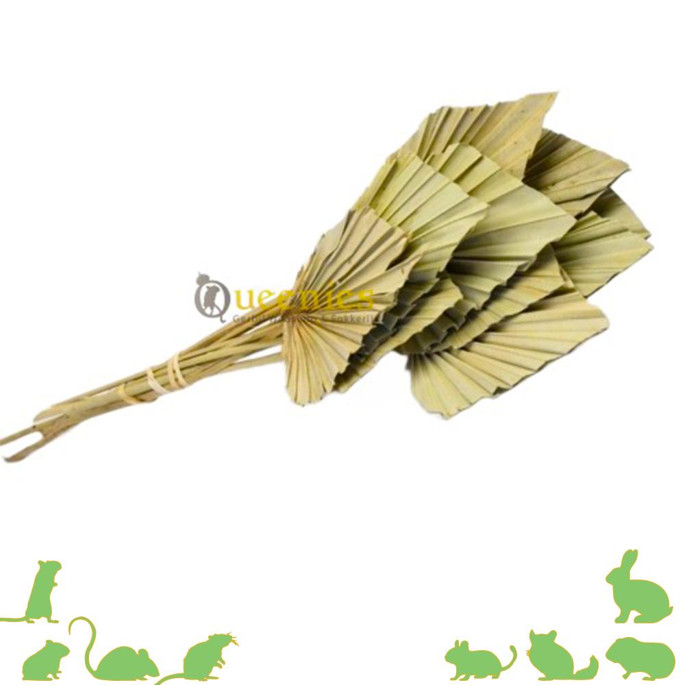 Palmblad op steel voor Knaagdieren