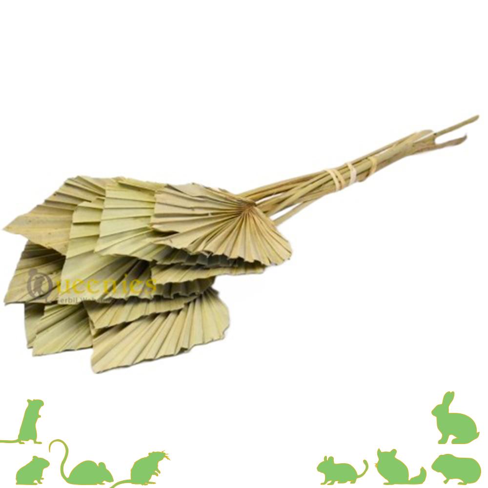 Knaagdieren speelgoed voor hamsterscaping