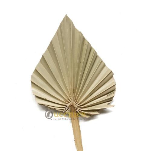 Decoratie van woonkamer naast uw knaagdieren terrarium