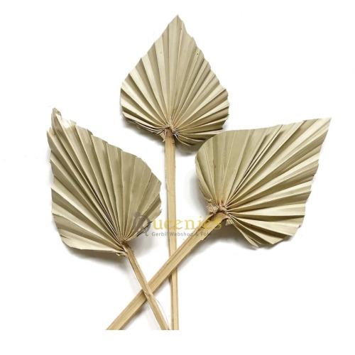 Decoratie naast uw knaagdieren terrarium