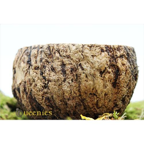 Eetkom natuurlijke uitstraling voor hamster