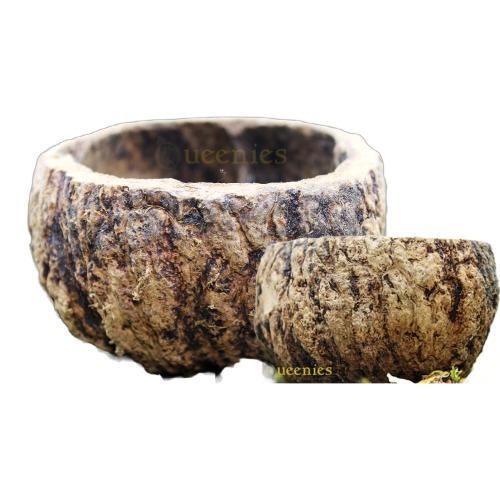 Natuurlijke voerbak in hamsterscaping