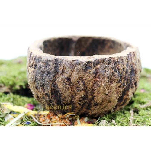 Paranoot voerbak voor knaagdieren of vogels