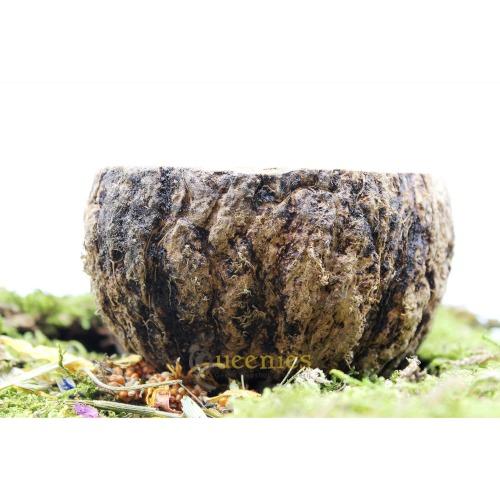 Paranoot voerbak met schroefdraadbevestiging voor vogels