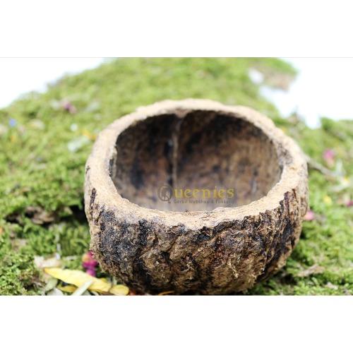 Paranoot voerbak met gerbilvoer