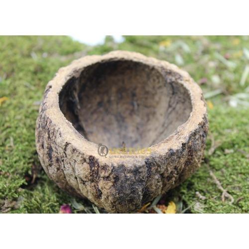 Natuurlijke voerbak Gerbil voor hamsterscaping