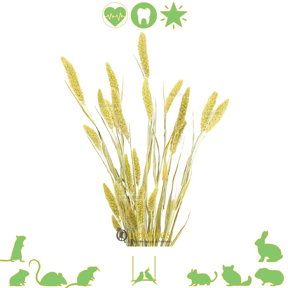 Gedroogde grassen voor Knaagdieren en Konijnen