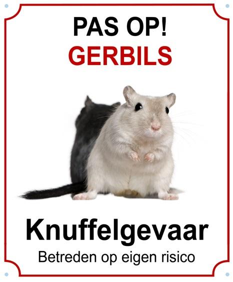 Pas op! Gerbils - Knuffelgevaar