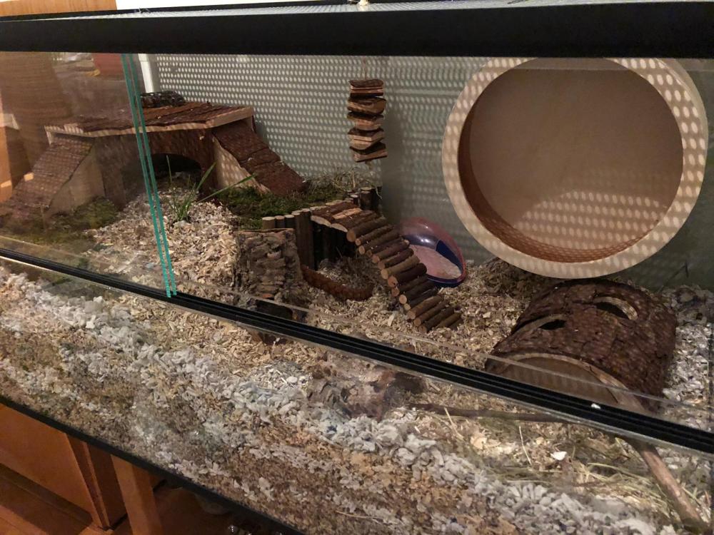 100x30x40 hamsterkooi met schuifruiten zonder plateaus