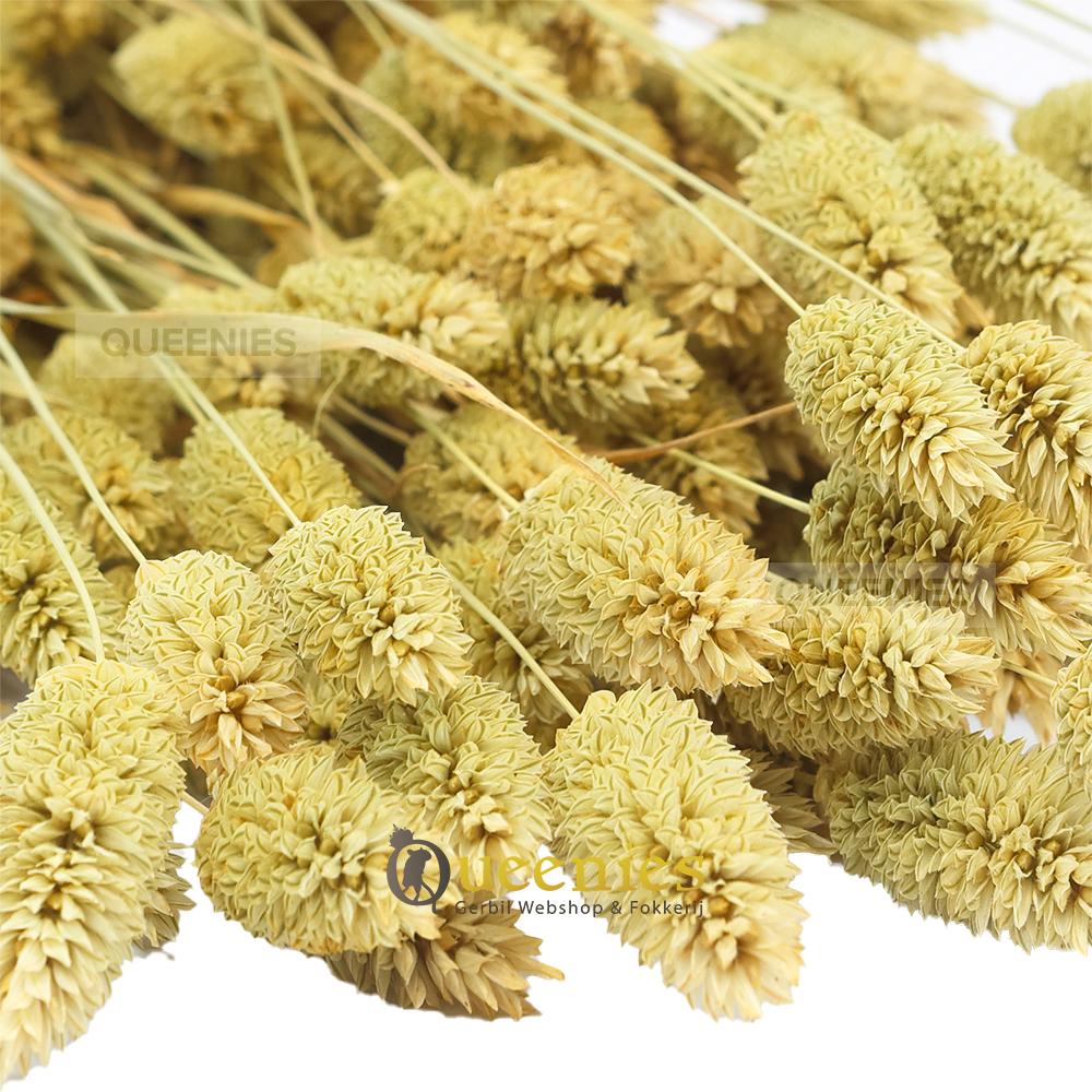 Gedroogde grassoorten als voedselverrijking voor Konijn en knaagdier