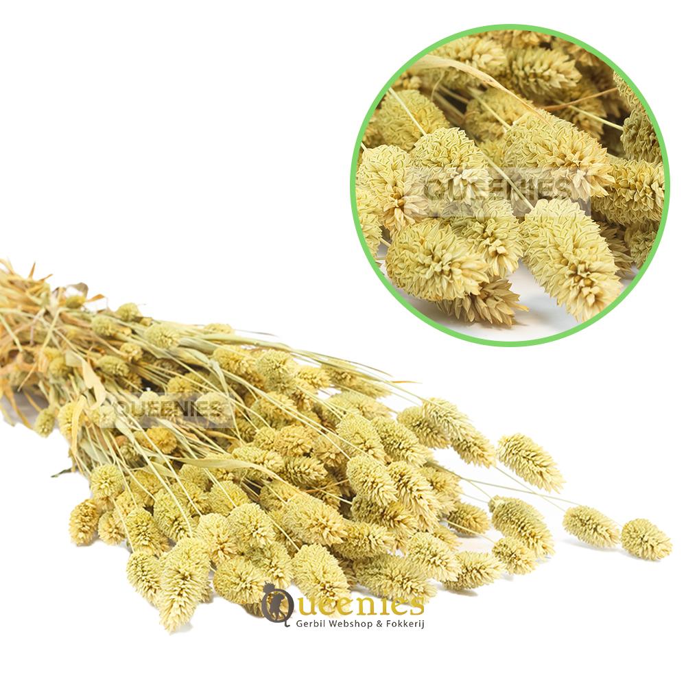 Hamsterscaping grassen voor natuurlijke uitstraling