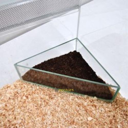 Knaagdieren badzandschaal