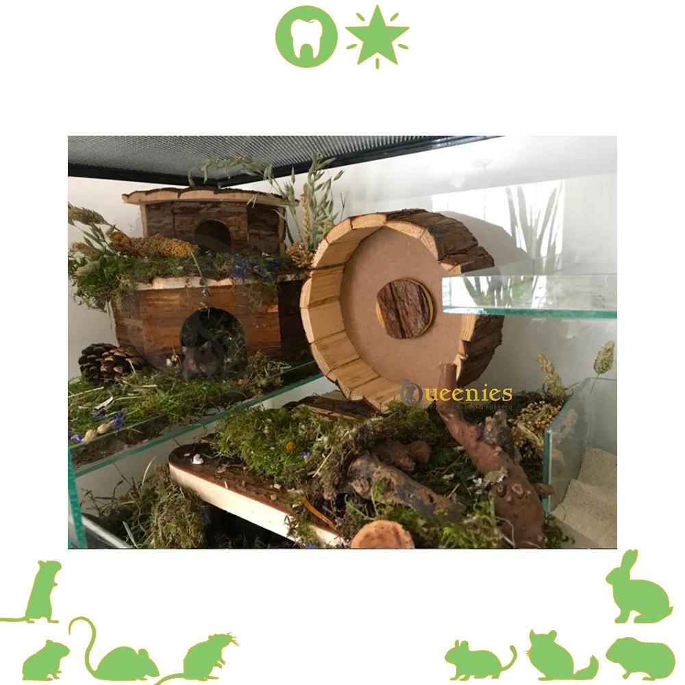 Plateau van hout - Houten plateau in Gerbilarium