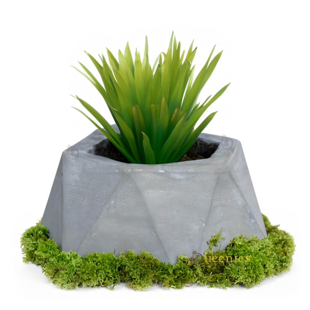 hamsterscaping decoratie plantenbak