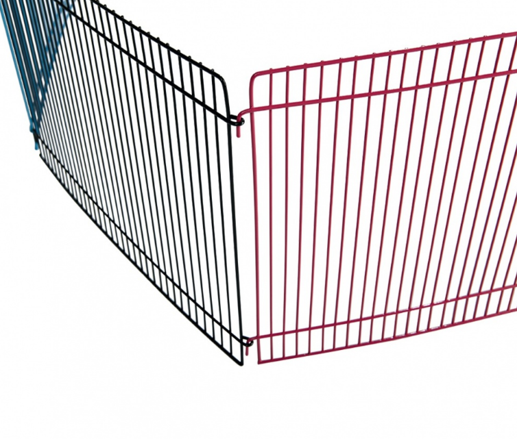 Gerbil ren met kleuren