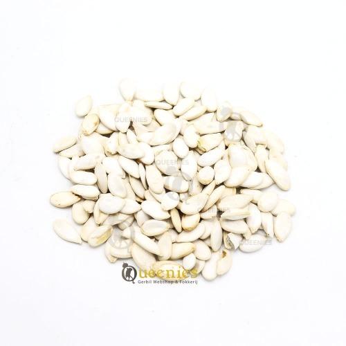 Pompoenpitten voor Hamster