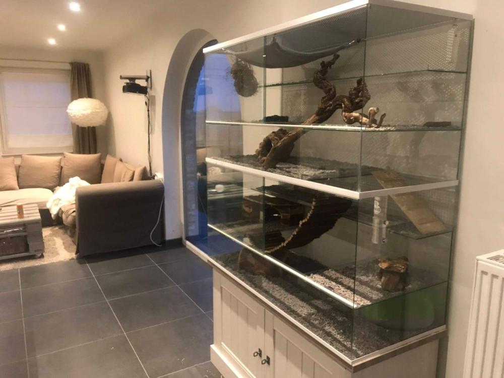 Chinchilla villa zonder tralies met witte profielen