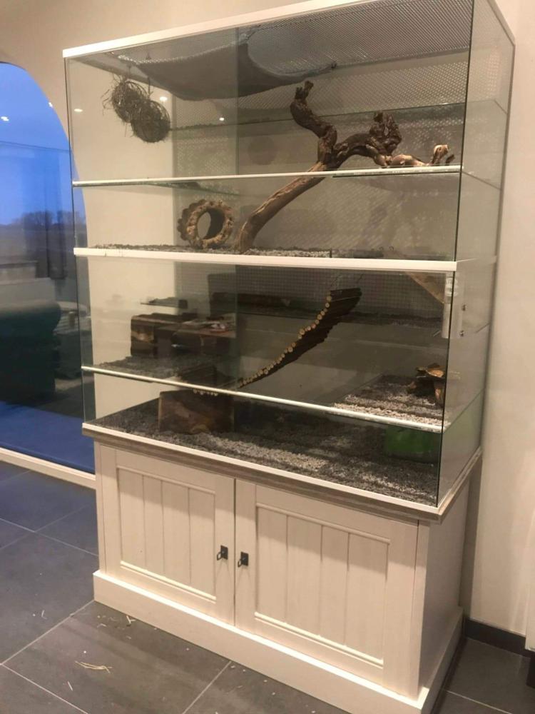 Chinchilla terrarium zonder tralies met witte profielen