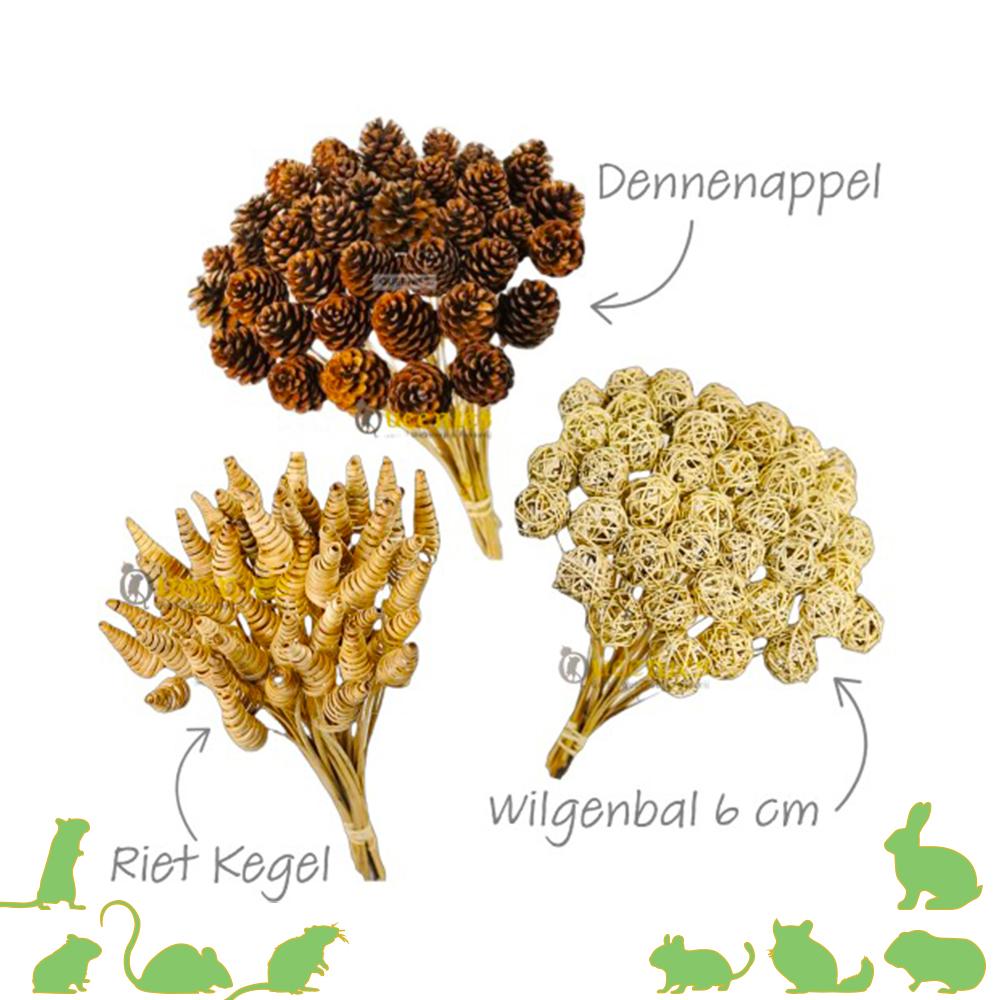 Leuke artikelen voor huishoudelijke decoratie of in een knaagdier verblijf