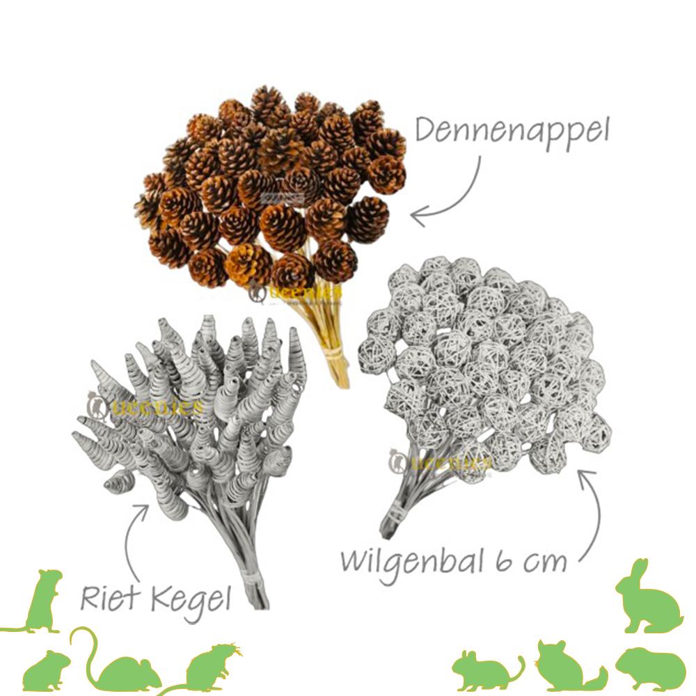Dennenappel op steel voor natuurlijke inrichting in knaagdierkooi