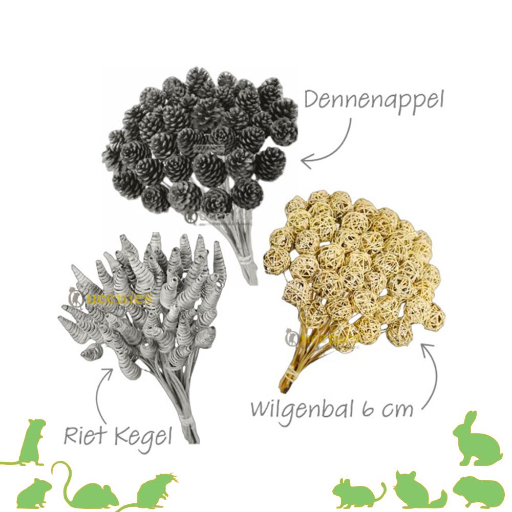 Wilgenballen voor Gerbils op steel