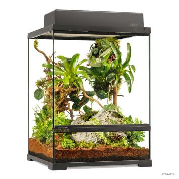 Exo Terra Terrarium