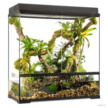 Terrarium voor reptielen en amfibieën