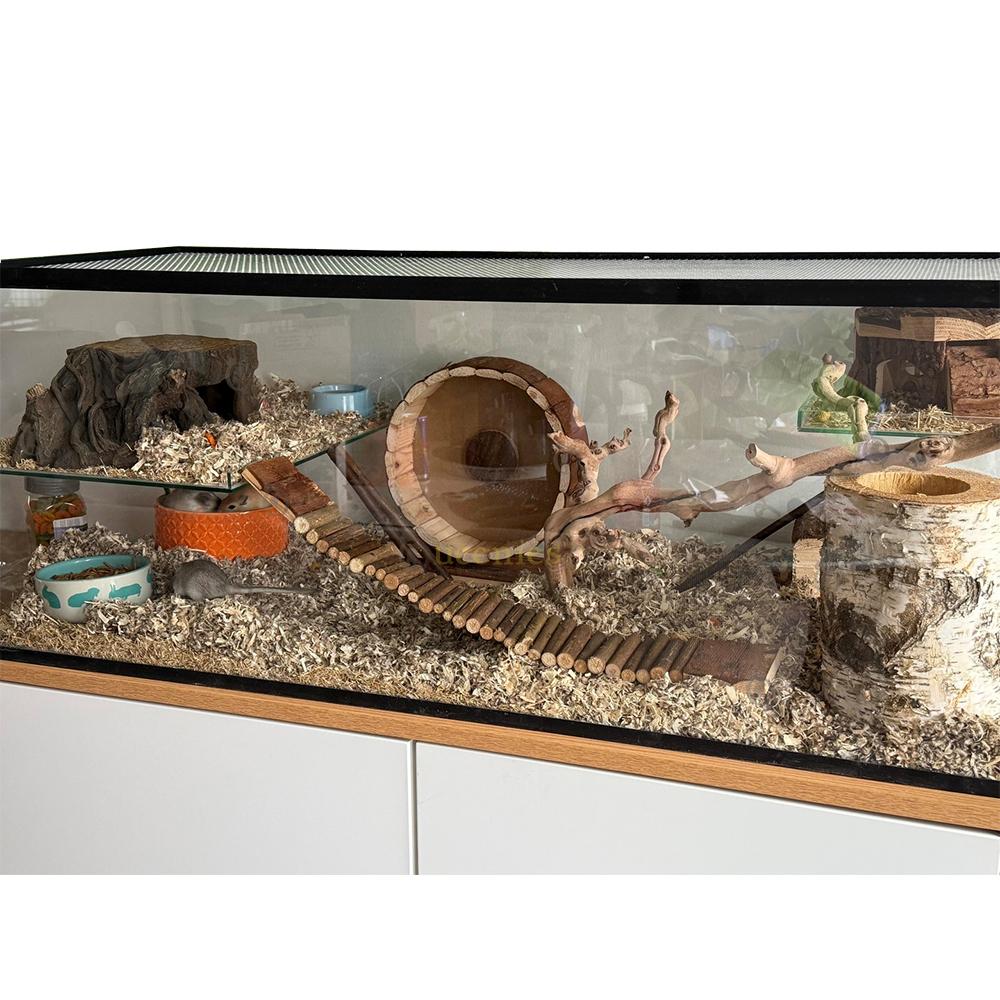 Gerbilkooi ingericht