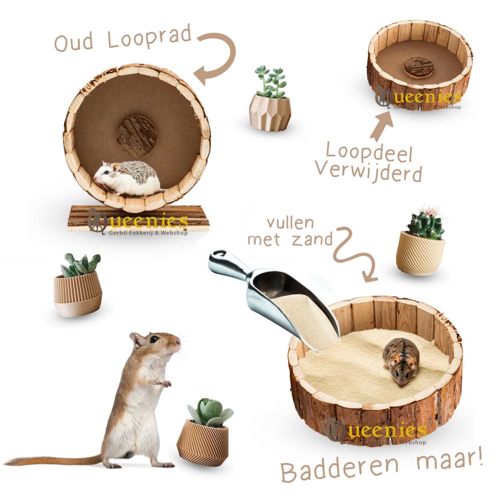 Renrad hergebruiken voor Hamsterscaping
