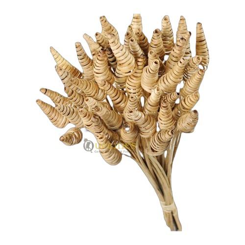 Cane Cone bloemschikken, gebruikt bij hamsterscape