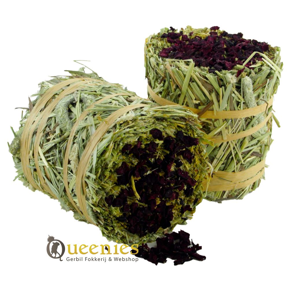 Timothy Hooi rol met Rode biet smaak voor Gerbils