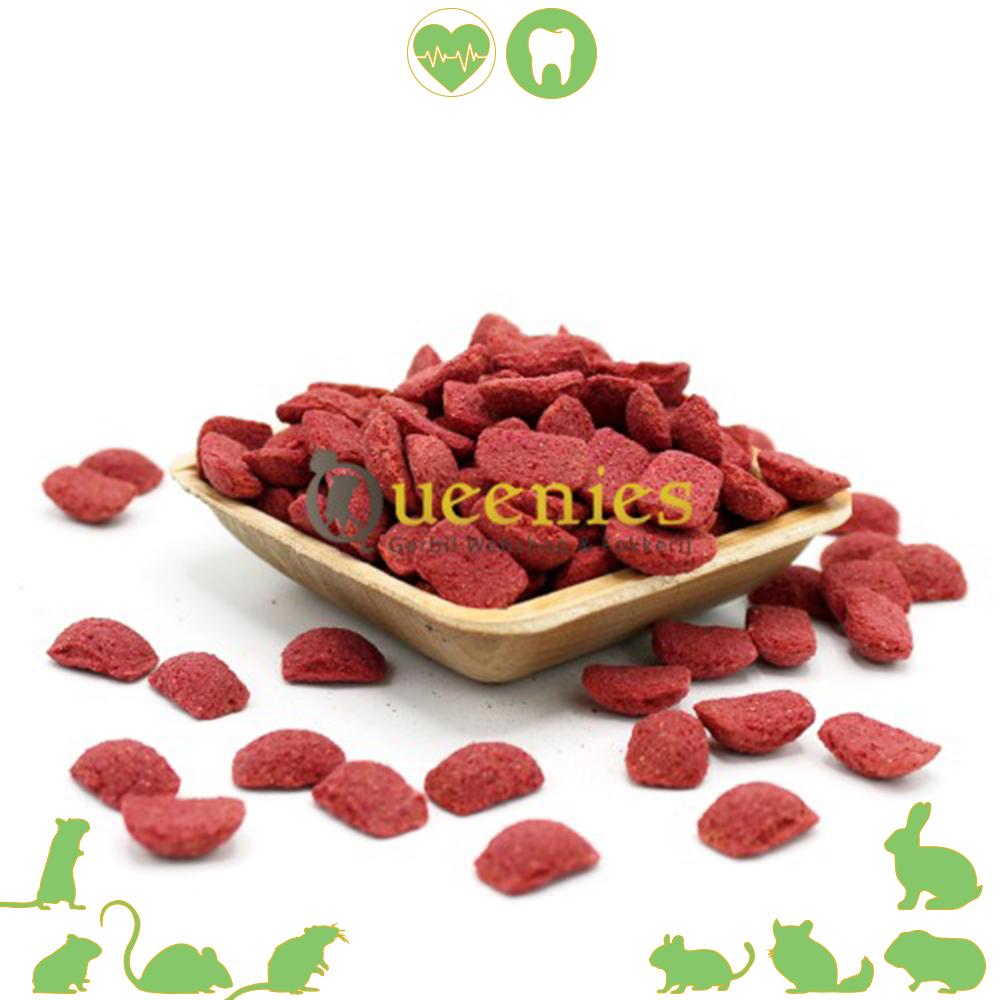 BIeten kussentjes voor Knaagdieren