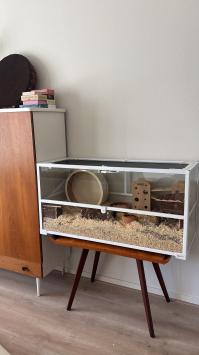 Terrarium 100 x 40 x 50 cm met slot