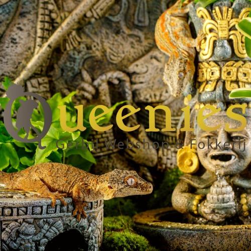 Nooit meer morsen met water bij uw knaagdier